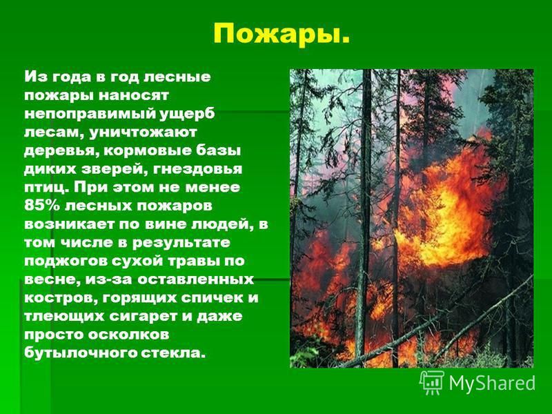 Памятка  Особый противопожарный режим.